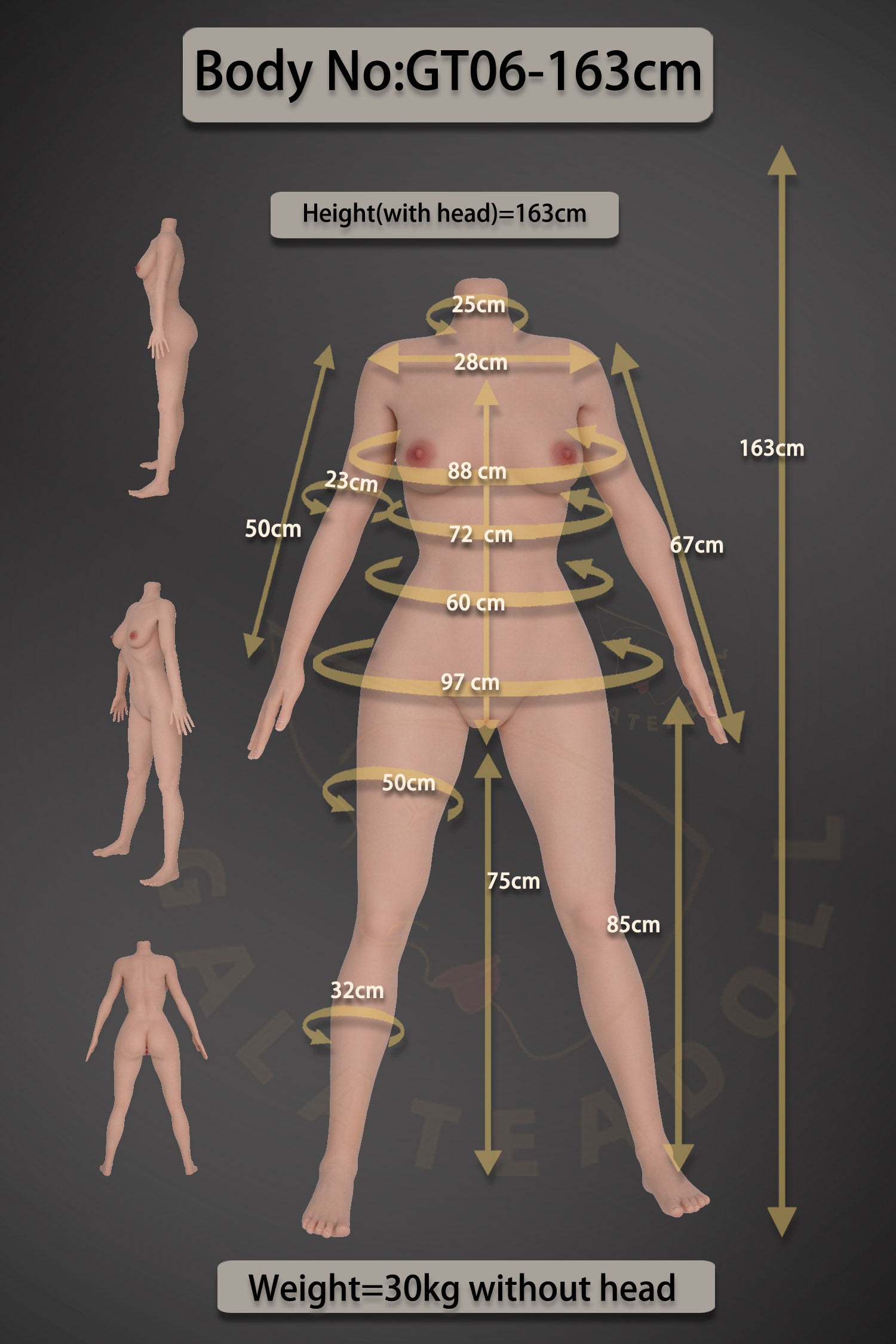 Seksa lelle Samira (Galatea Doll 163 cm D-Cup #198 Silikona)