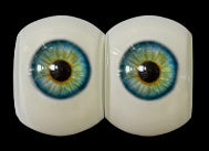 Acis (FUDoll oriģināls)