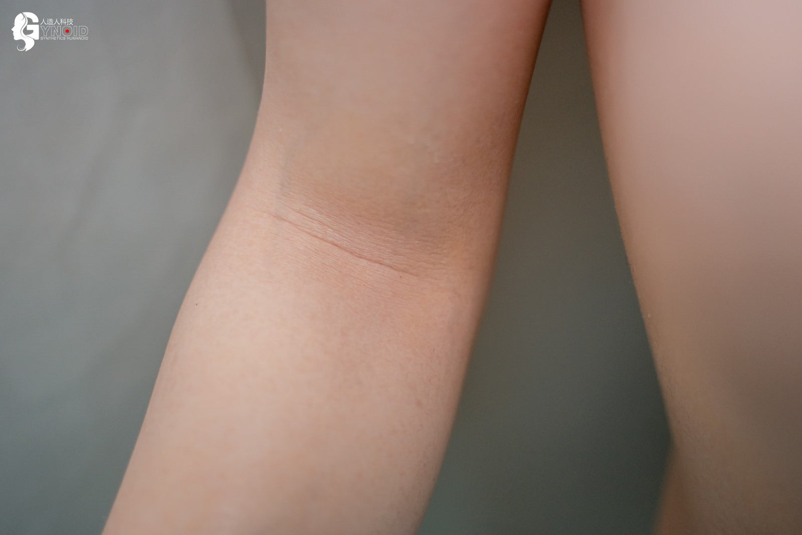 Seksa lelle Leyla Model 19R Deluxe (Gynoid Doll 168 cm F-Cup silikona)